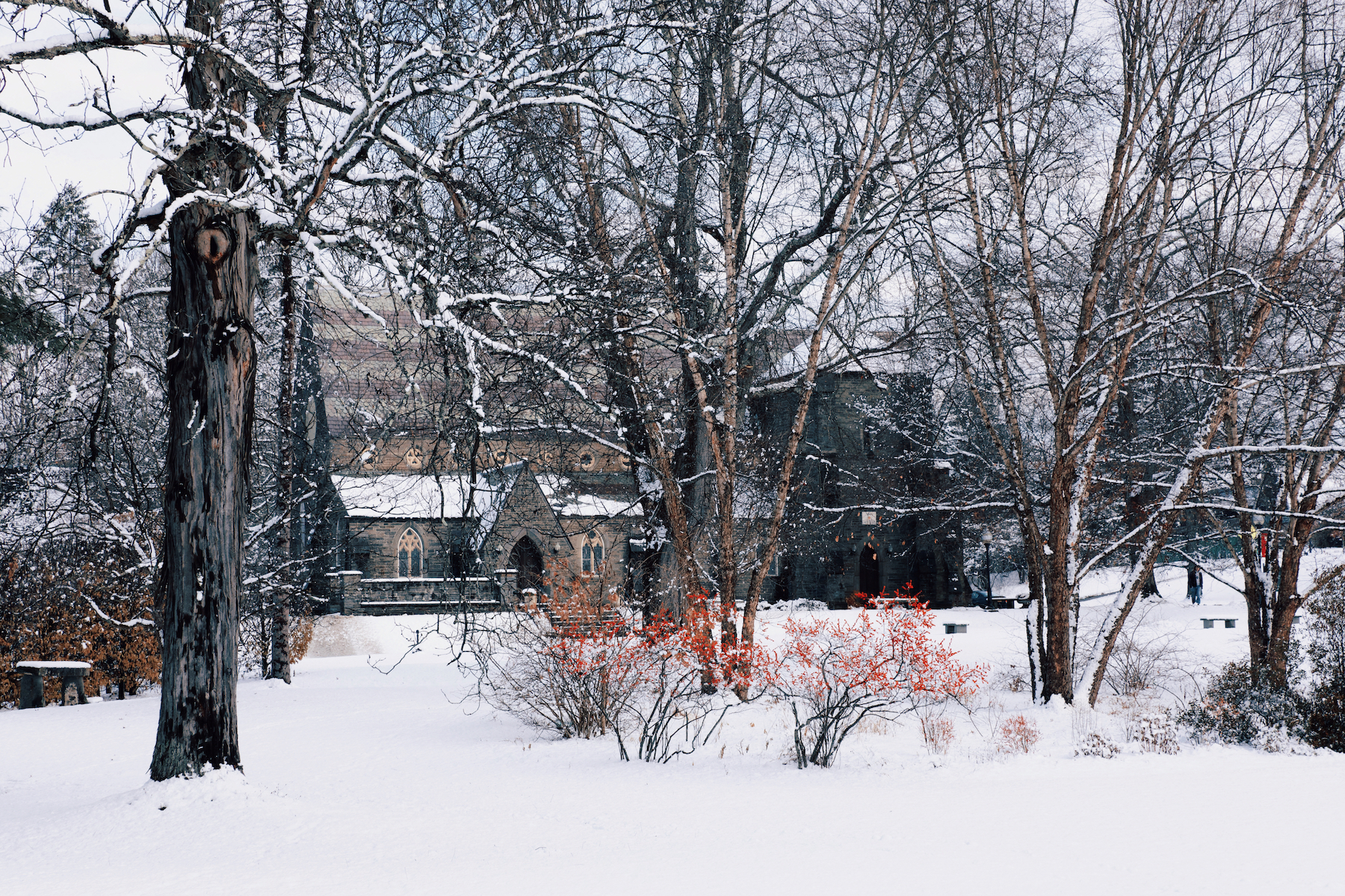 First snow on campus this past week. Photo by Queenie Si '25