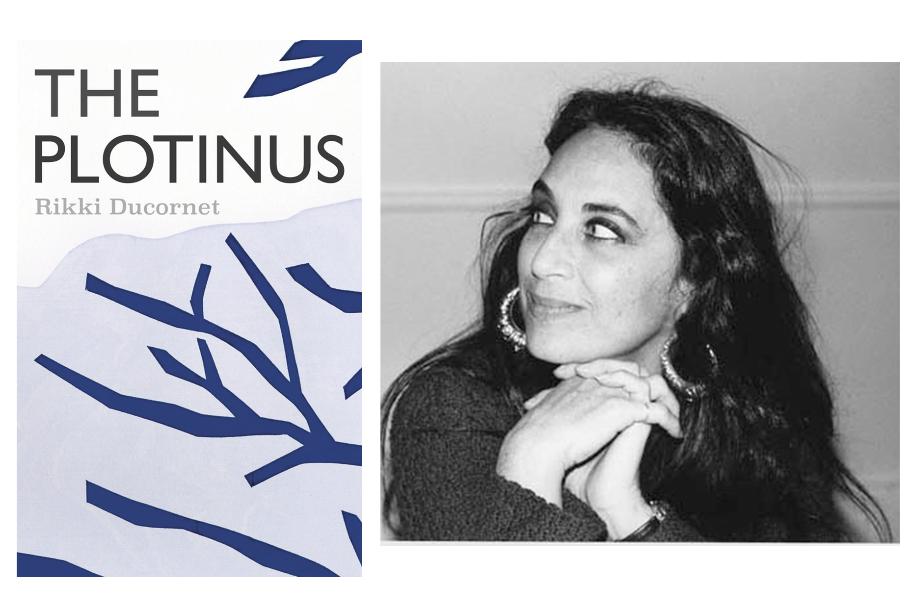 Bard alumna Rikki Ducornet ’64 and her novella <em>The Plotinus</em>.