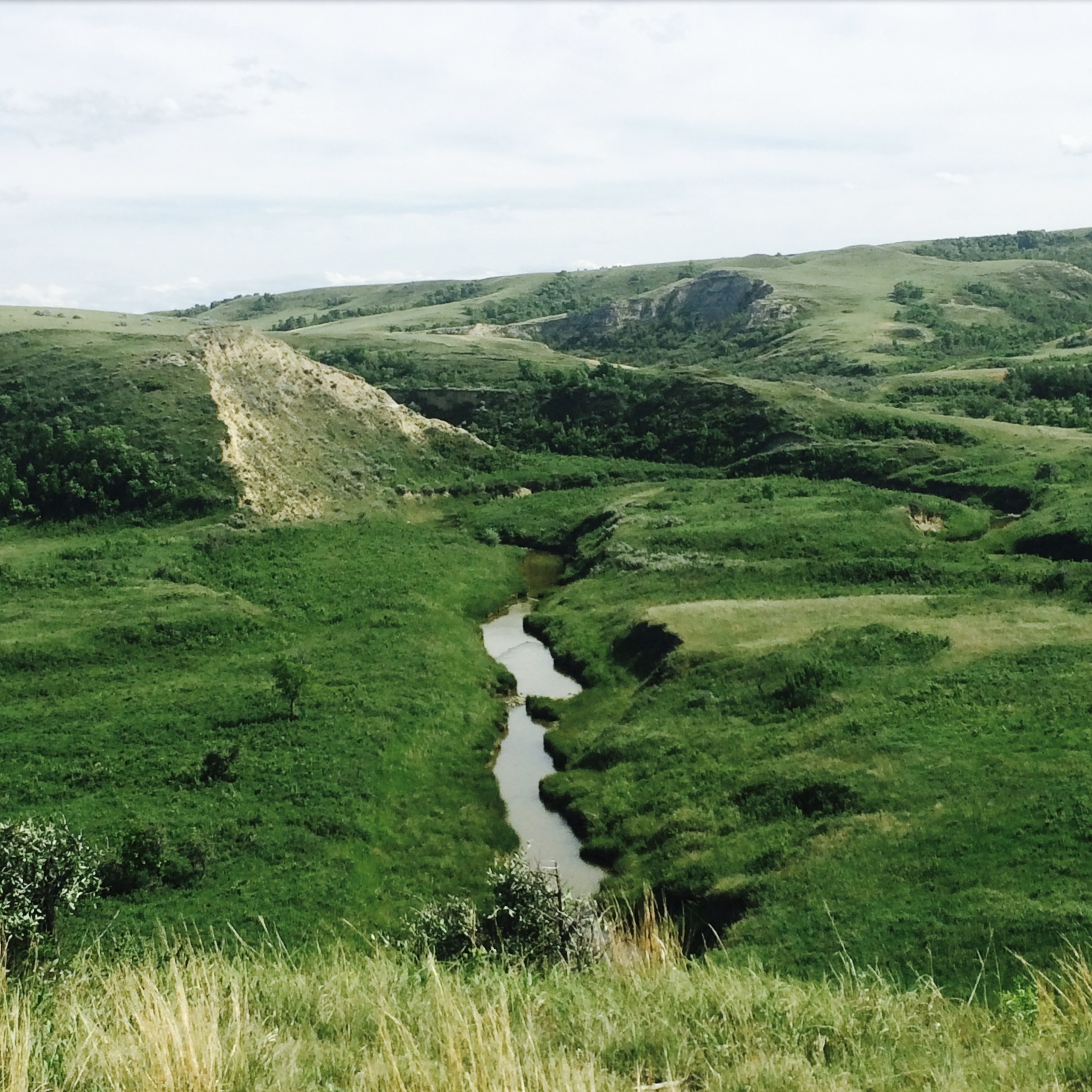 A river winding through green hills.; Degree Recital: &quot;Home&quot; Colton Cook, baritone, and Nomin Samdan, piano