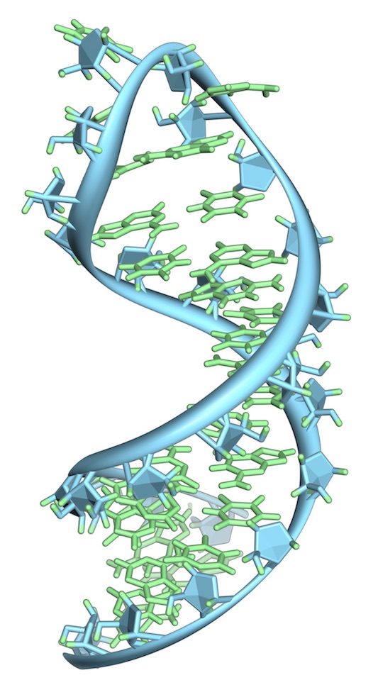 Shedding Some Light on the Dark Matter of the Genomic Universe