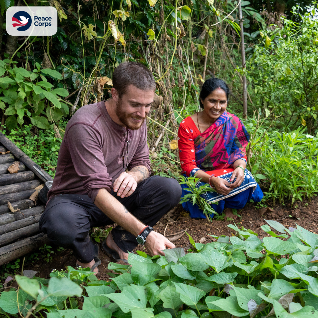 Two people sitting in a wooded area and touching plants.; Peace Corps Recruiting at Bard!