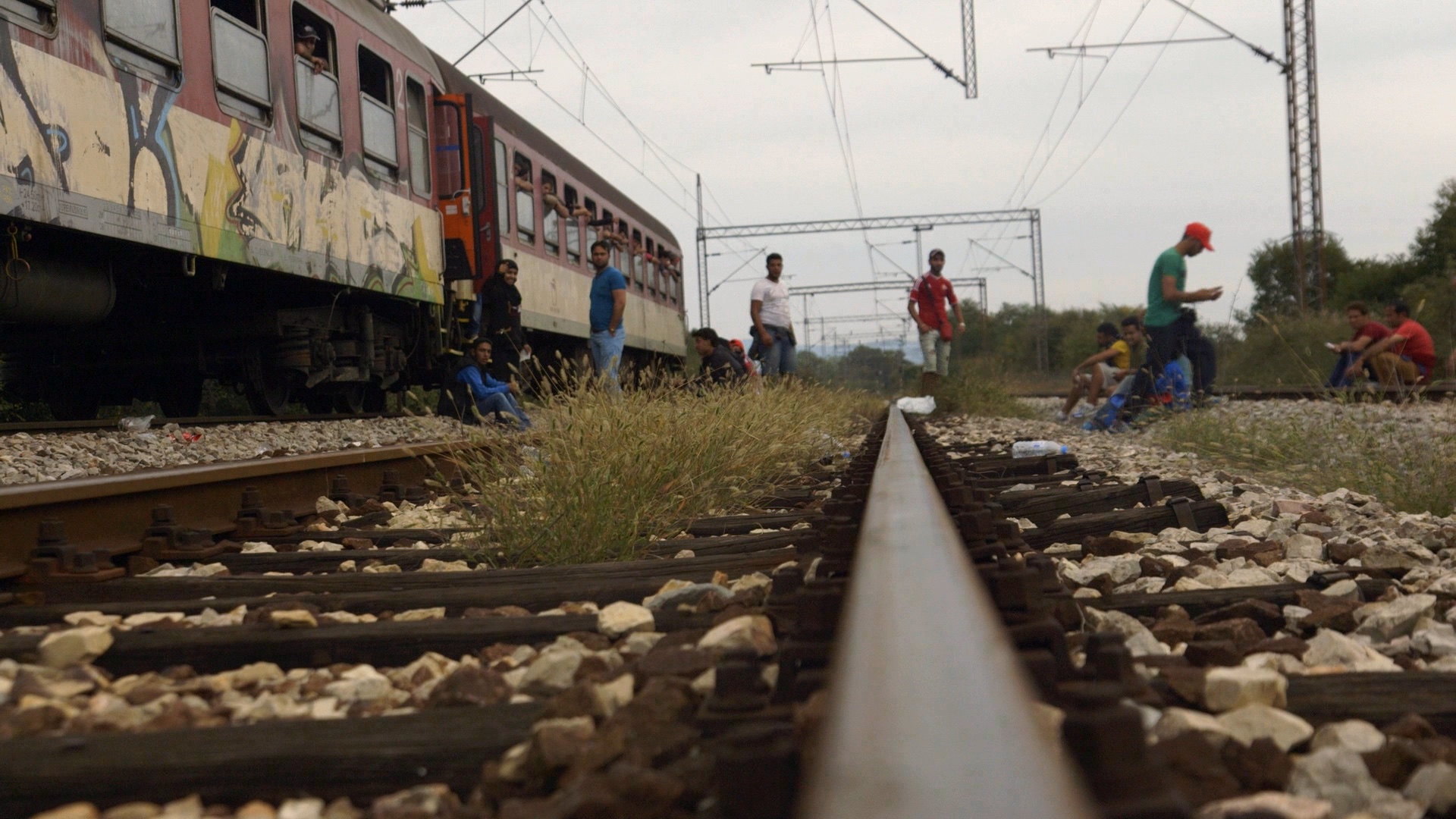 A train next to overgrown tracks.; It Will Be Chaos (2018) by Lorena Luciano and Filippo Piscopo